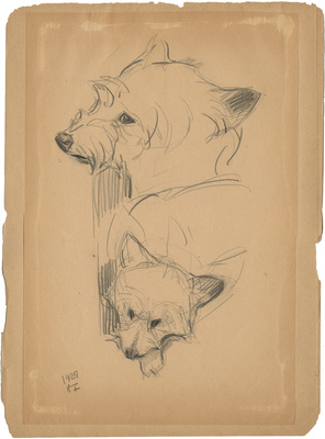 Ватагин Василий Алексеевич. Джали